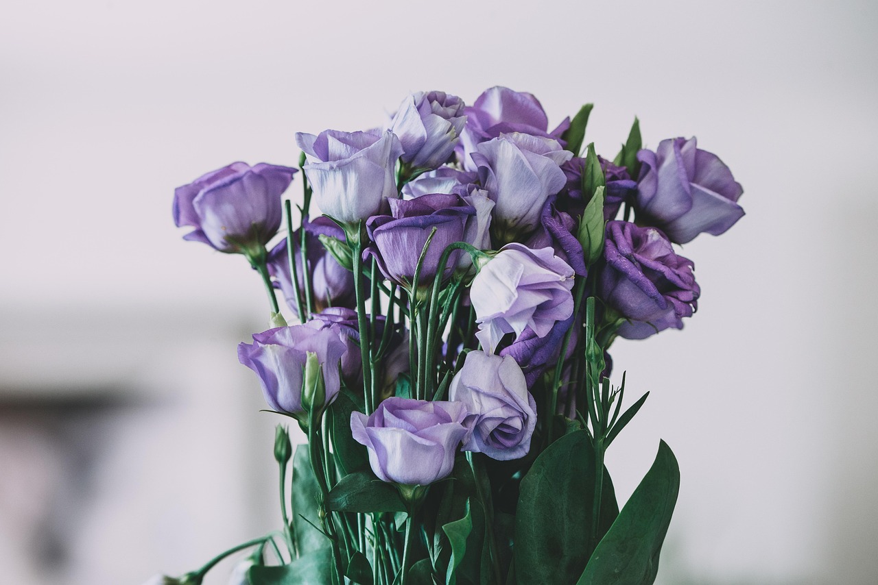 Arreglo floral minimalista